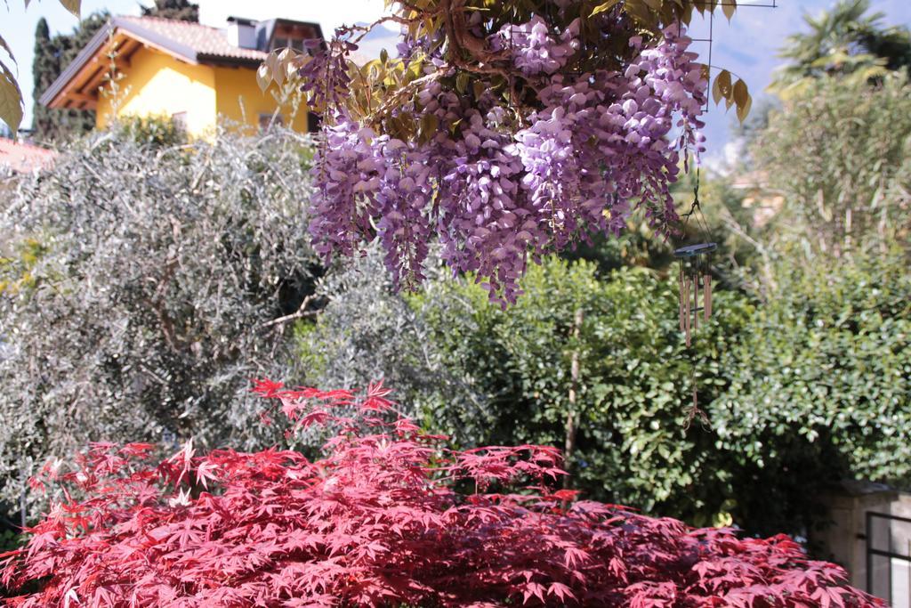 ארקו Casa Vacanze Claudette מראה חיצוני תמונה